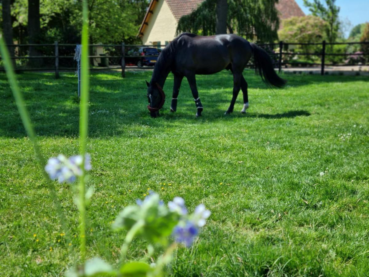 Vakantiewoning Schouwenberg Swalmen Kültér fotó